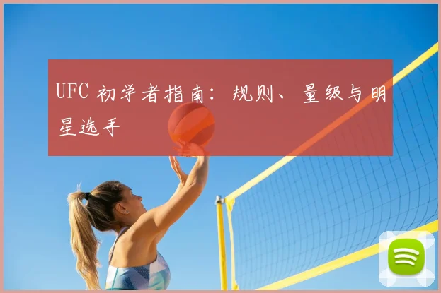 UFC 初学者指南:规则、量级与明星选手