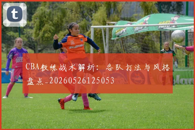 CBA教练战术解析：各队打法与风格盘点_20260526125053