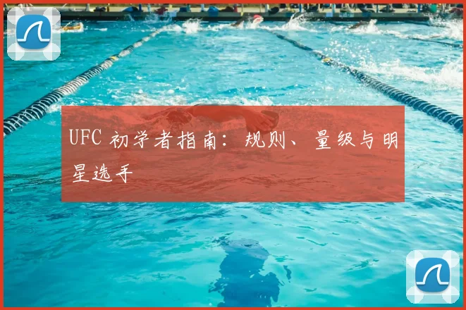 UFC 初学者指南：规则、量级与明星选手